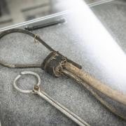 fot. Hubert Pielas, Kancelaria Senatu fot. Hubert Pielas, Kancelaria Senatu