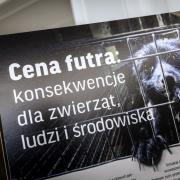 fot. Hubert Pielas, Kancelaria Senatu fot. Hubert Pielas, Kancelaria Senatu