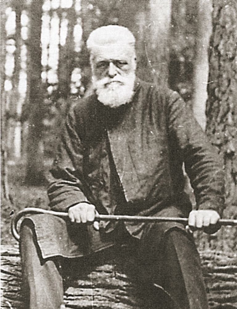 Władysław Zamoyski