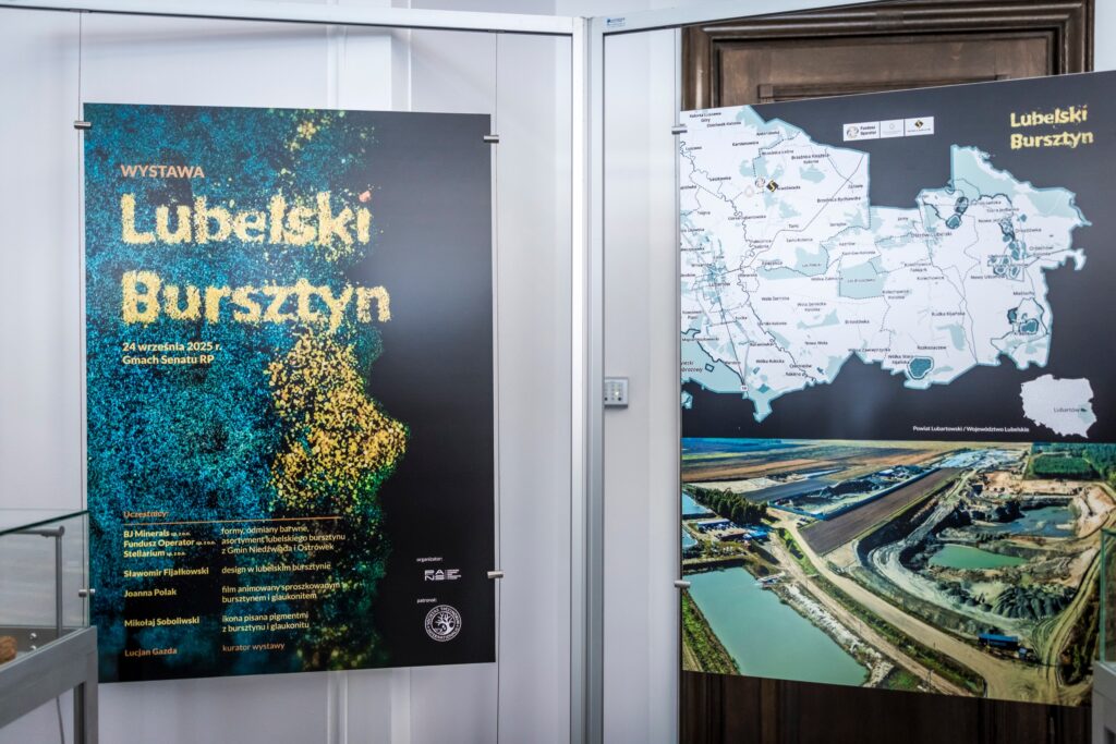 Zdjęcie z wystawy „Lubelski bursztyn”